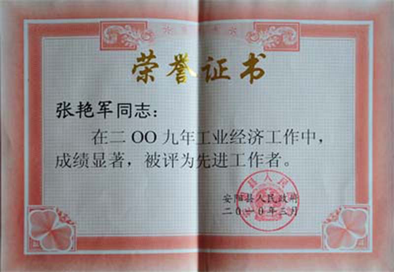 2009年工业经济先进工作者